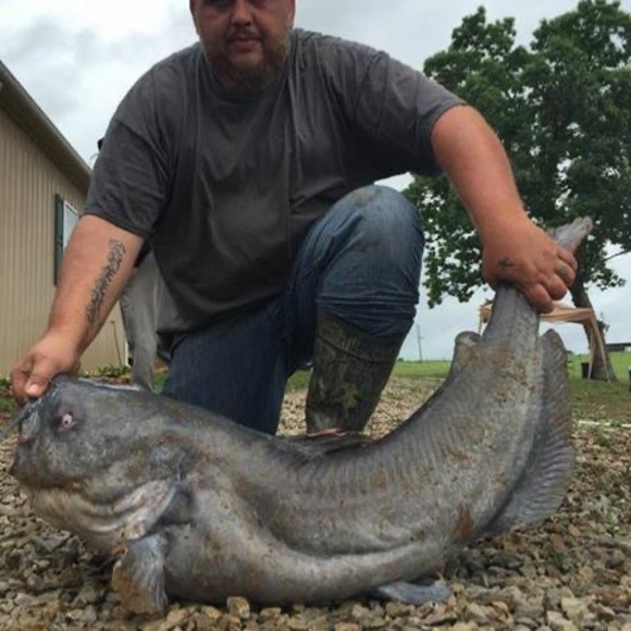 Meet your Posher, Curtis - Picture 1 of 1